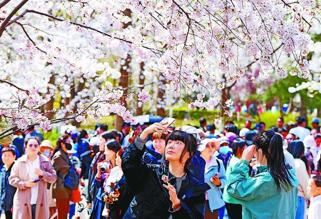 日本官员已经抵达北京，全程一言不发，有一个细节已经说明了问题