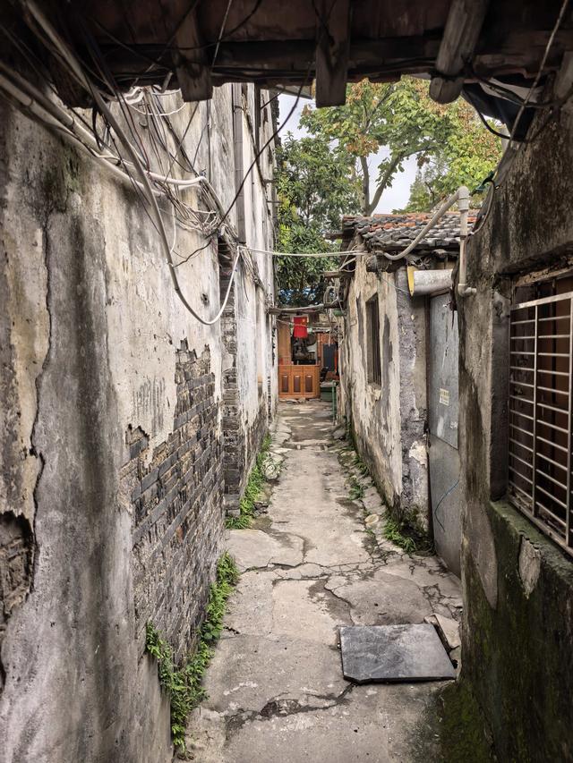 仓城开仓节开仓啦