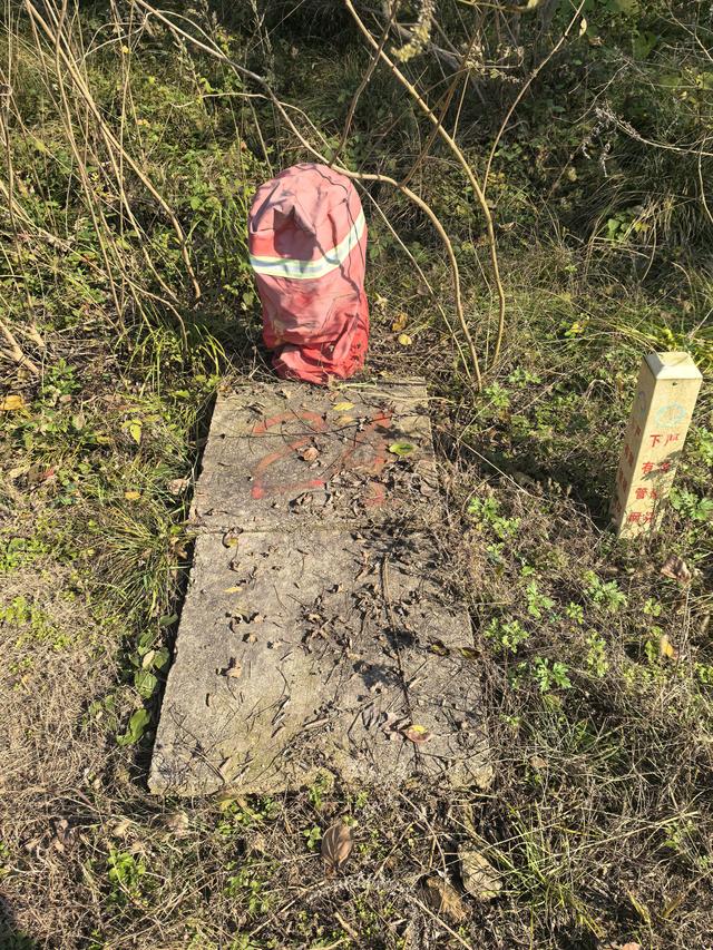 南京龙尚湖，大连山，佘村一日郊野徒步