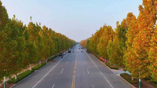 广饶初冬的仪式感来了！