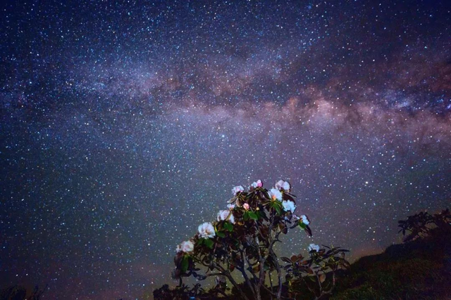 更适合毕业生体质的旅行，出发来雅安！