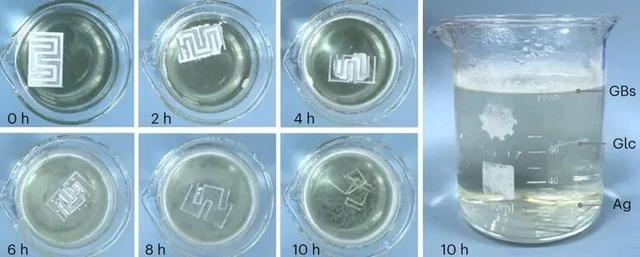 中国科学家培育“纺织工”，细菌“织就”绿色电子未来