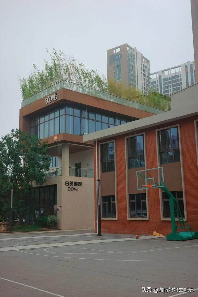 长沙妈妈私藏！河西新晋遛娃宝地，竟藏着“清迈”同款松弛感