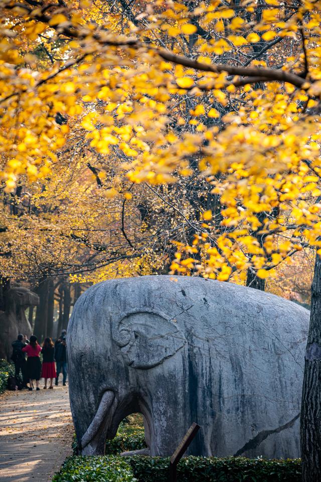 2025国内最受欢迎的50个旅行地，宜老宜少，你去过了几个？