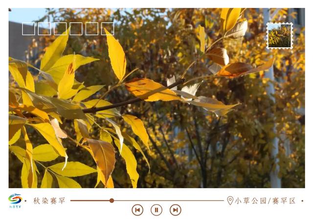 北疆文化 遇鉴赛罕 | 秋染赛罕明信片上线！快来“云”赏秋