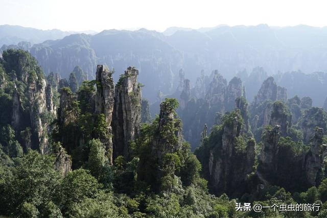 悬浮山实景！张家界天子山，阿凡达导演看了都直呼内行！