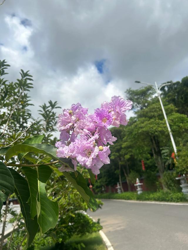 长乐沙京龙泉禅寺