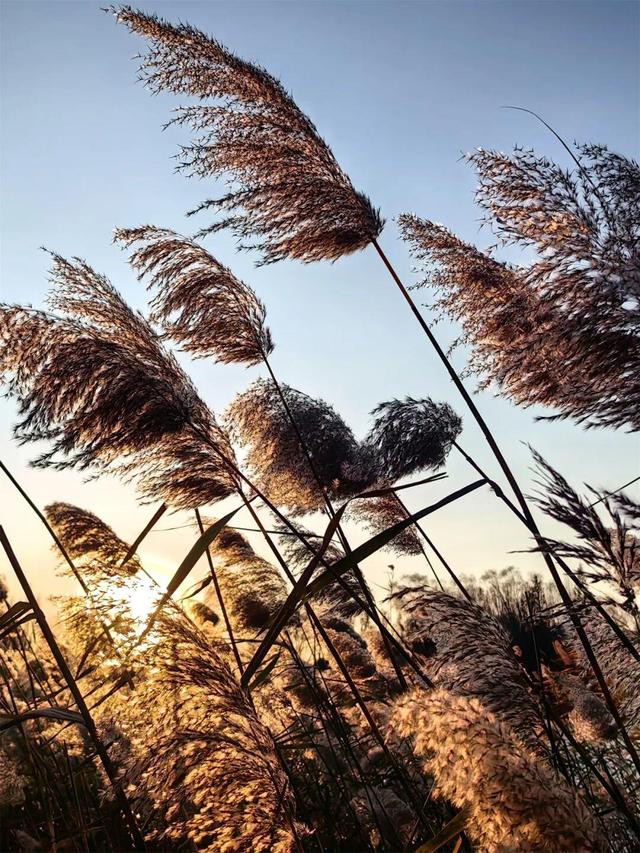 用电影的方式“打开”初冬！每一帧，都浪漫