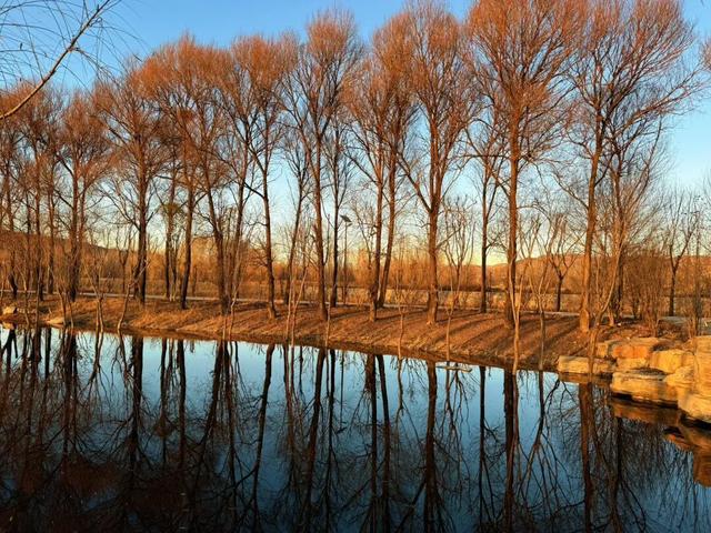 【文明旅游】太原市娄烦县：别留遗憾！娄烦湿地公园藏着秋日绝美秘境，这周末速冲打卡！