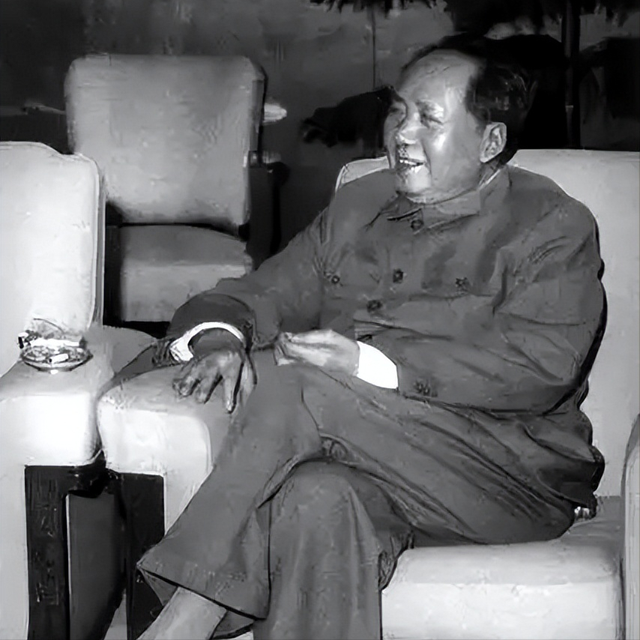 65年彭总重游大渡河，竟然发现：就算把泸定桥炸了，红军也能过河