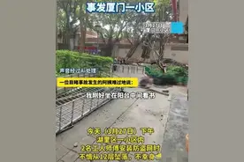 又出惨案！不到3秒姐弟俩相继从12楼坠亡，外卖员：都溅我一身图片