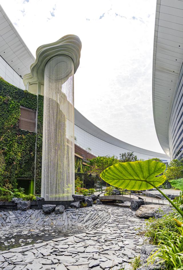 候机还可以逛公园！白云机场T3航站楼打造全国最大空侧原生态花园