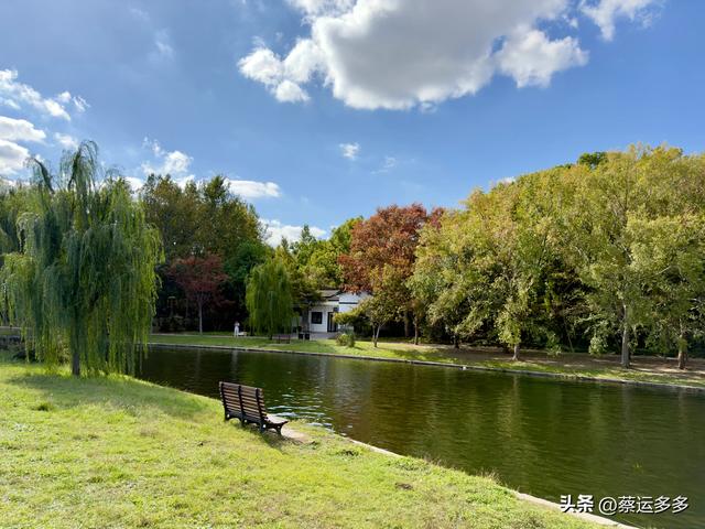 重阳节，上海赏秋之美