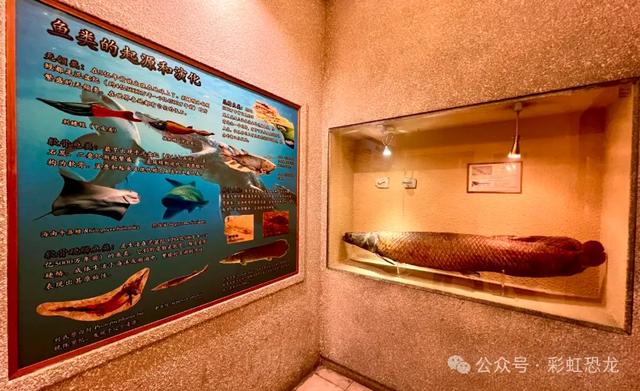 广州遛娃新灵感！三条私藏周末路线，好玩不累，赶紧收藏！