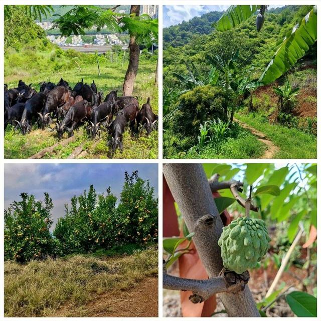 【美丽四川】梦幻米易西山‖袁征