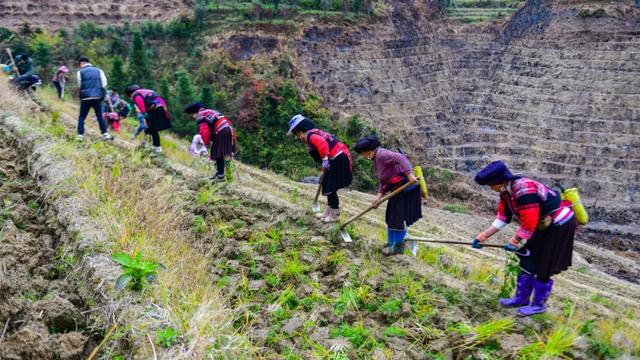 龙胜：“水镜梯田”唤醒冬韵 下埠屯书写旅游新篇