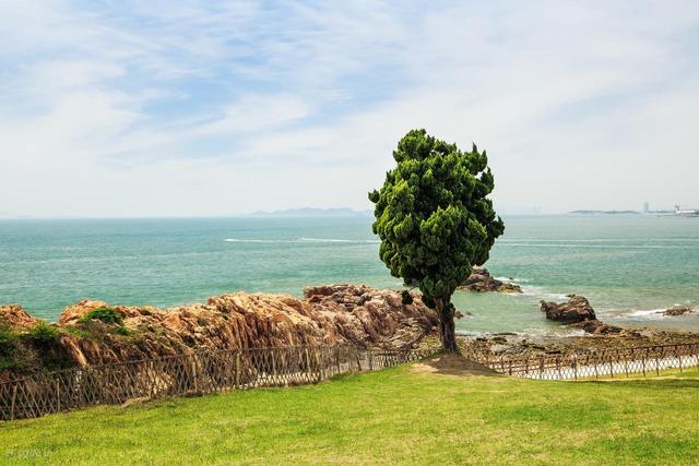 全部免费！青岛0元看海，赏无敌海景，青岛7处免费看海地不可错过
