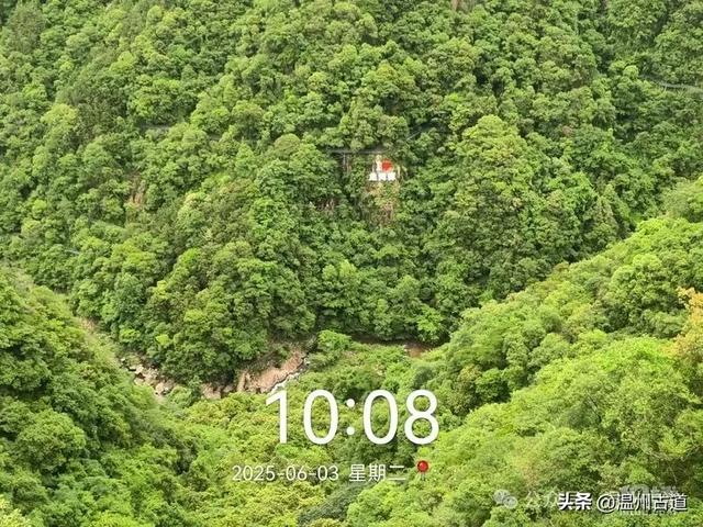 温州这个亲子游玩胜地、植物自然课堂孩子玩嗨家长不累