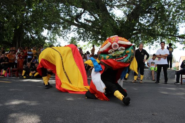 12.12开幕！品鲜蚝、逛湿地、抽温泉票，铁涌农文旅盛宴喊你打卡