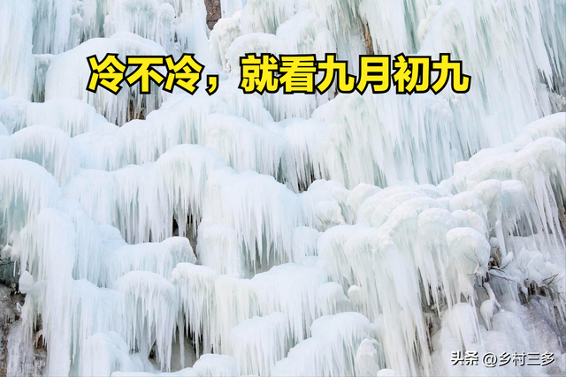 “冷不冷，就看九月初九	”	，今日九月初九，今年冬天会很冷吗？