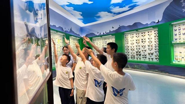 火出圈！这座“央妈”推荐的高校博览园暑期游客创新高