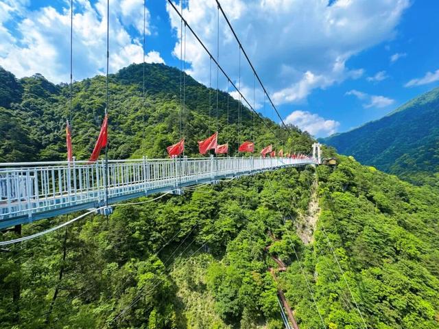 秋色盛宴！5条绝美线路解锁临安限定浪漫