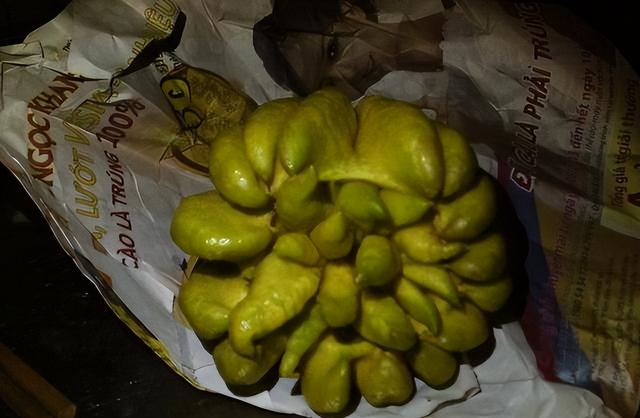 失去中国市场后，大量水果烂地里卖不出去，现在开始后悔得罪中国