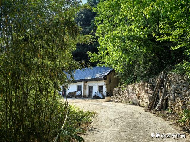 又一次来到蓝田这个“世外桃源”,探访“一潭三瀑”,且行且珍惜