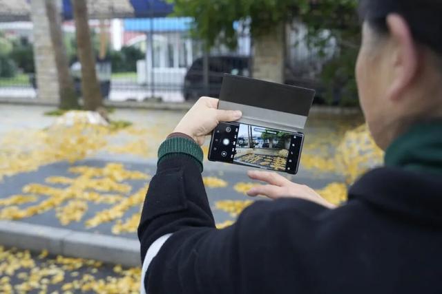 落叶缓扫，快来新津比“叶”！