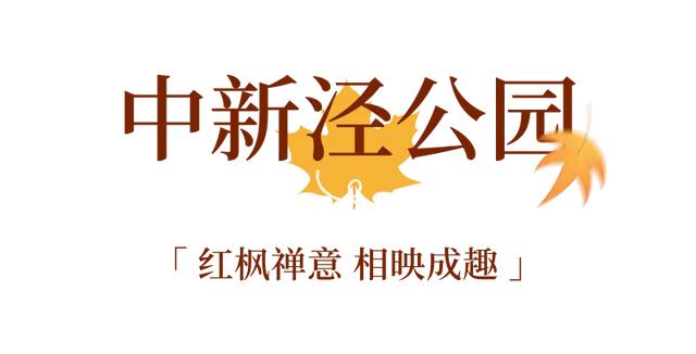 周五宠粉日｜枫叶红“疯”了！沪上市区赏枫运动好地分享，更有运动好礼等你来领！