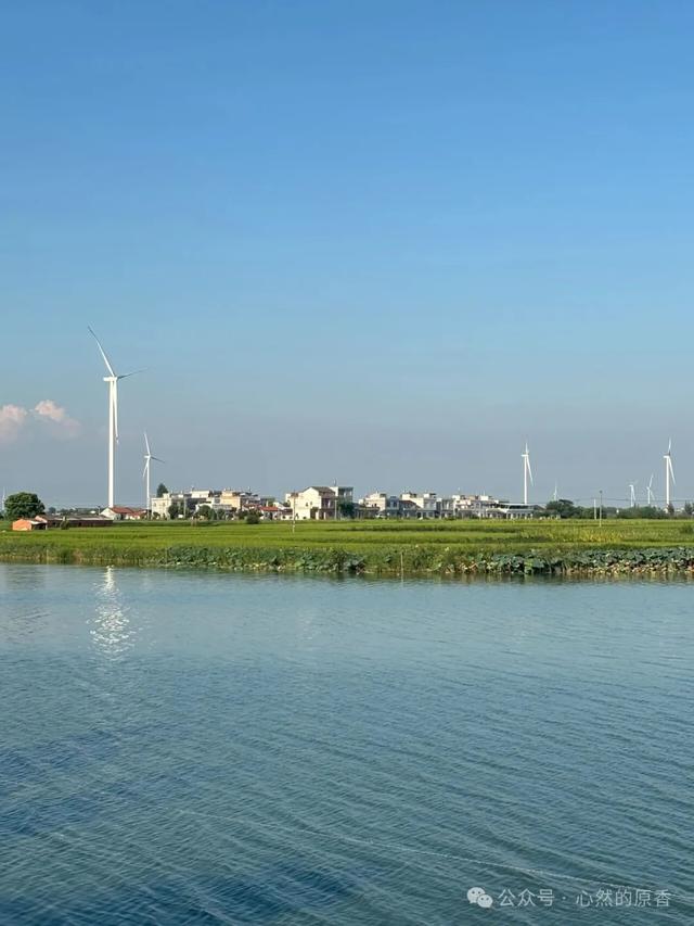 我的家乡胡市美：胡市的兄弟姐妹们看过来