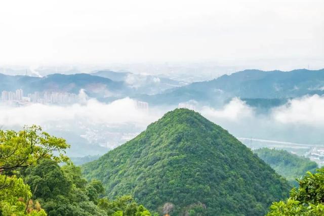 2026启新篇！来第三届东莞观音山平安迎新登高节，福气、好运收入