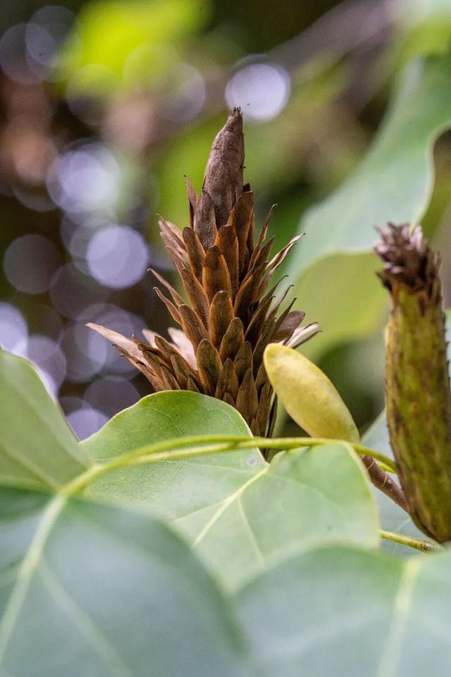 秋天不这样玩一遭，白来人间一整年