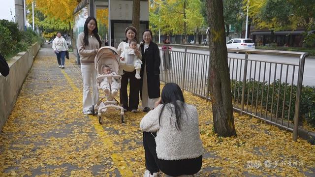 初冬“杏”韵：邂逅贵州的金色浪漫