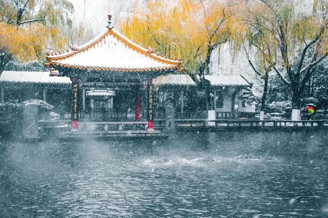 董宇辉向世界推荐，“请花几天时间去山东”！