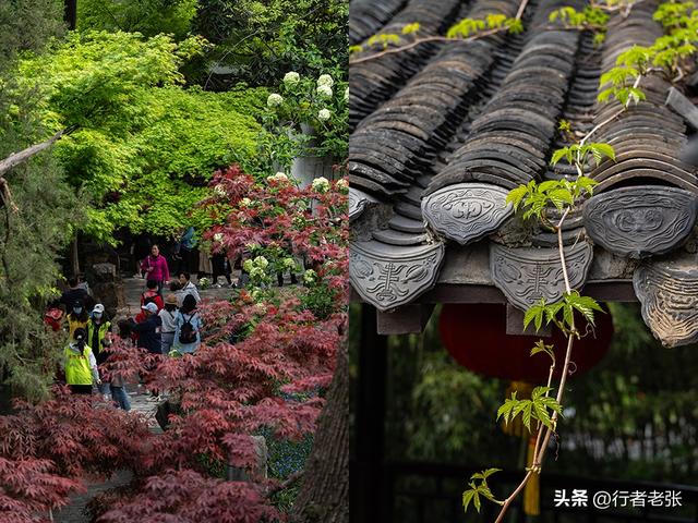 扬州这座私家园林是中国四大名园之一，入选世界遗产，名字有点怪