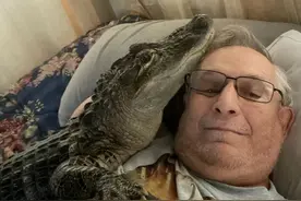 养鳄鱼当宝宝，美国男子和鳄鱼形影不离：只有它能给我情感支持图片