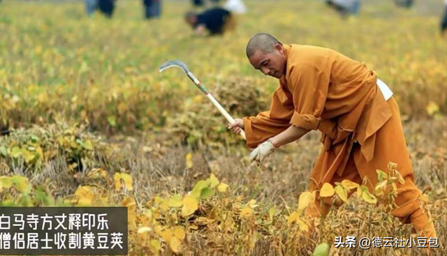 上任48小时，燃起少林寺三把火：印乐法师能否颠覆少林商业恶疾