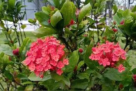 我治愈失眠最经济有效的方法图片