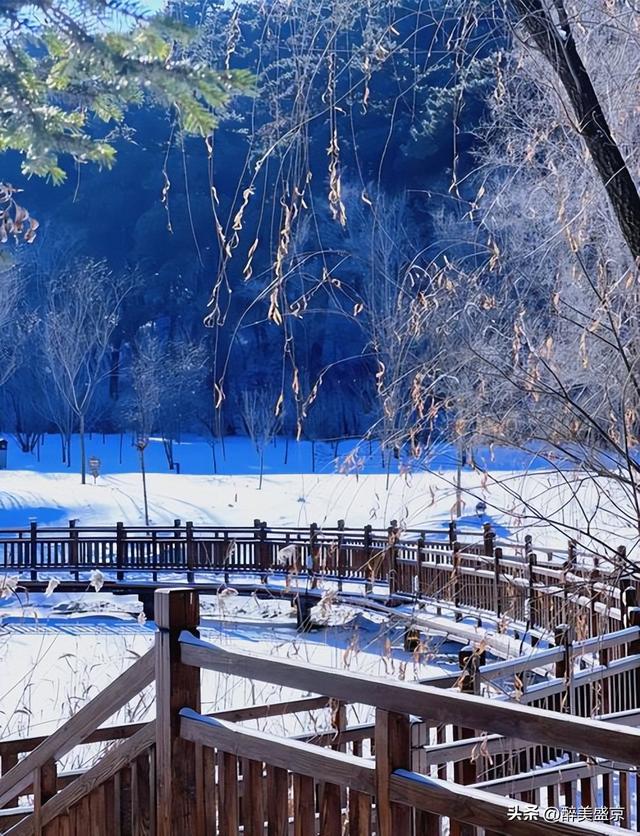 沈阳已连续四年登榜，10个理由让你爱上这座城！