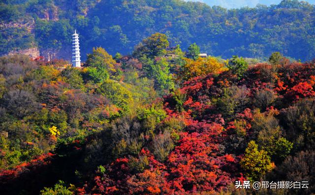 金秋赏红叶 最美九龙峡