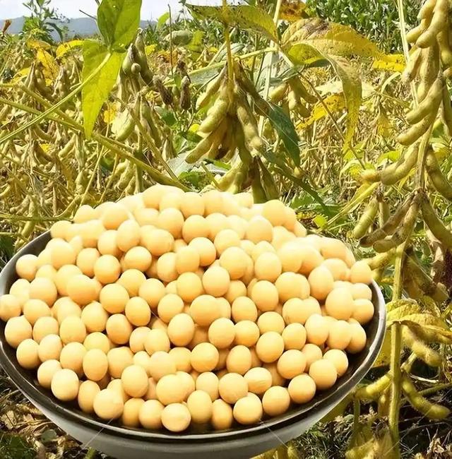 黑天鹅突袭！特朗普威胁对华加税，关税战再启，中美将要脱钩？