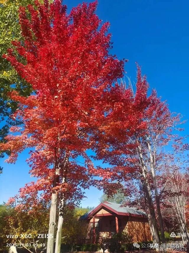 青岛即墨马山寻趣:一座地质公园的秋日私语|申艳娟