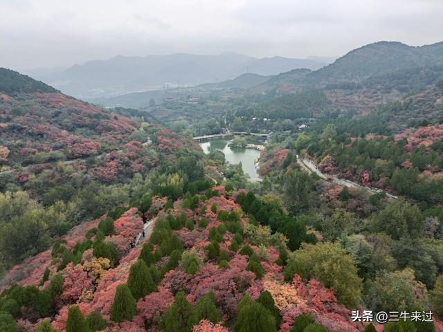 无为在歧路，济南红叶谷