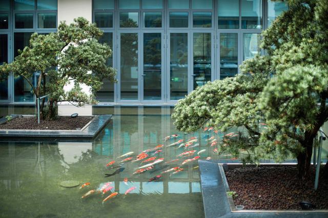 新地标启幕！太仓福悦涵田度假酒店开业，解锁双凤文旅新体验