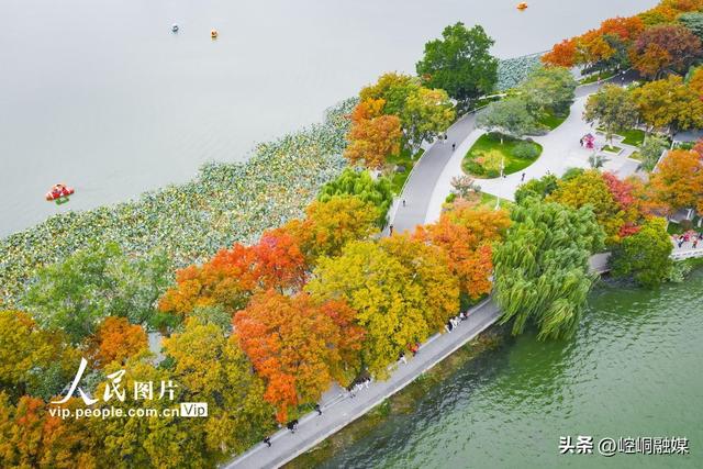 江苏南京：玄武湖秋景如画