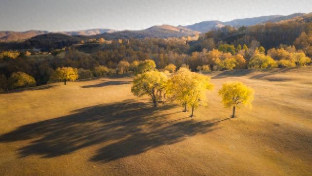 秋韵 美景 心情