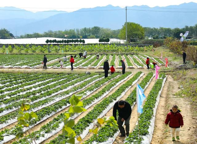 藏不住了！肇庆这个宝藏小镇，要火了!