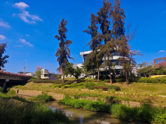 从学苑大道入大沙河绿过大学城后进深圳弯公园流花山景点【高清】