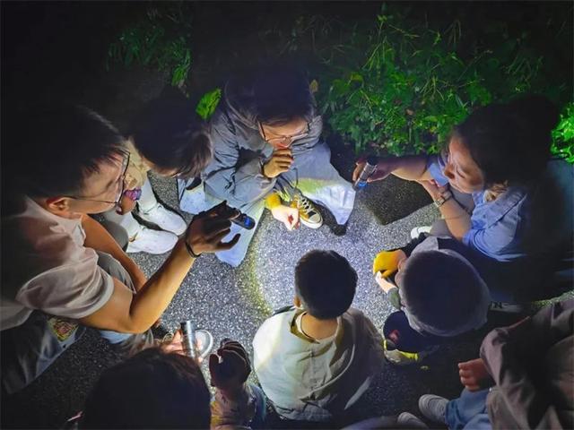 普洱太阳河森林公园联手携程景点玩乐共同打造——云南虫谷森林体验馆震撼上新！